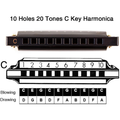 PROFESSIONAL HARMONICA IN C KEY WITH CASE