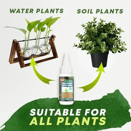 🔥Summer Hot Sale- 48% OFF - Plant Nutrient Solution