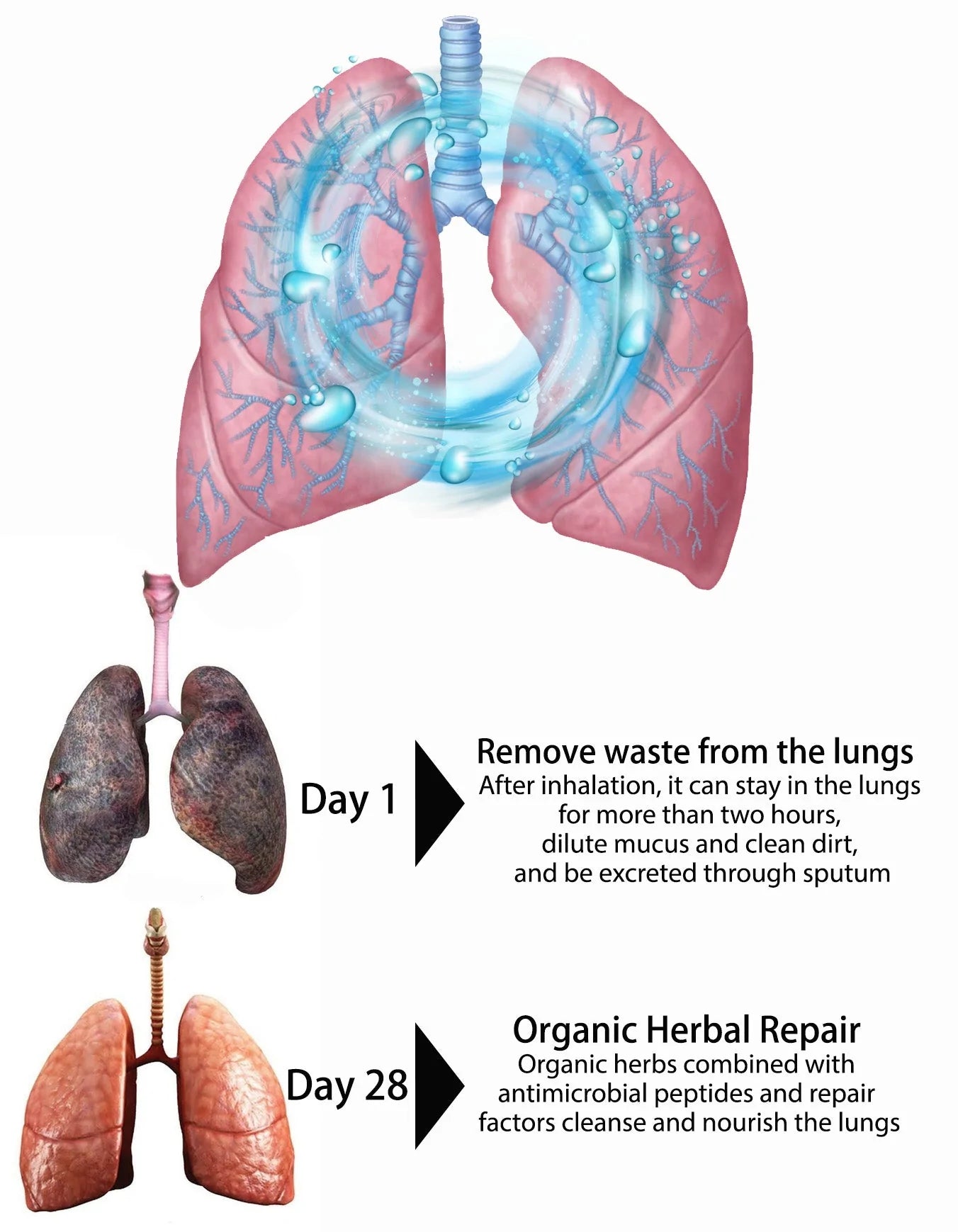 OnNature® Herbal Organic Lung Clean & Repair Nasal Spray